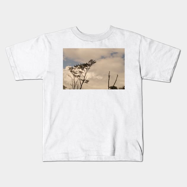 ebs tree in clouds Kids T-Shirt by pcfyi